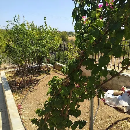 σπίτι - αγρόκτημα - δ γεωργά χατζηράση οδός χατζηράση Porto Cheli