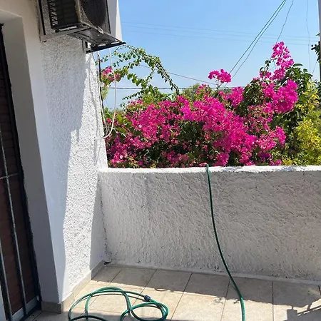 σπίτι - αγρόκτημα - δ γεωργά χατζηράση οδός χατζηράση Porto Heli