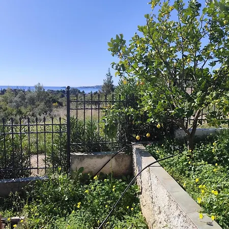 σπίτι - αγρόκτημα - δ γεωργά χατζηράση οδός χατζηράση