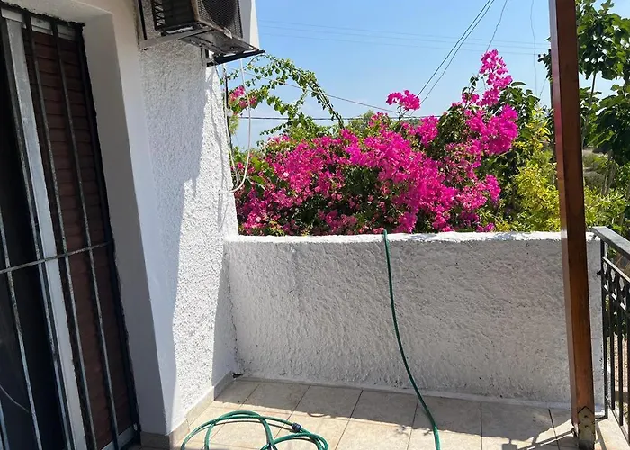 σπίτι - αγρόκτημα - δ γεωργά χατζηράση οδός χατζηράση 포르토헬리